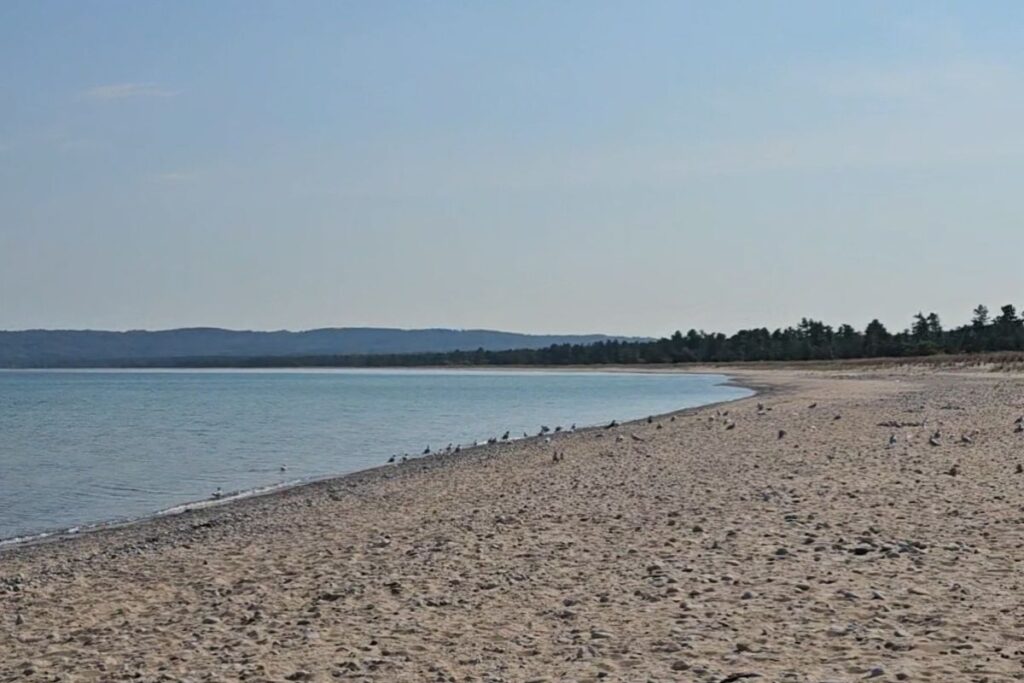 The wide sandy shoreline of Good Harbor Bay Beach in Leelanau County with Lake Michigan waves and a distant view of the Manitou Islands.