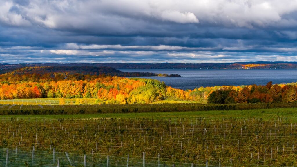 Fall colors over Old Mission Peninsula vineyards with Grand Traverse Bay in the background, Traverse City Michigan.